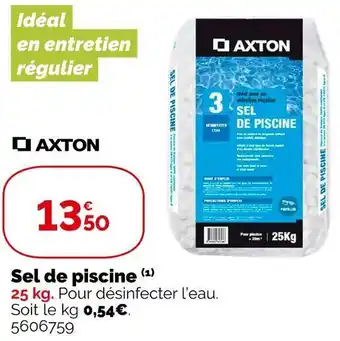 Axton sel de piscine