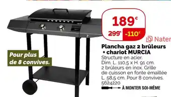 Weldom Naterial plancha gaz 2 brûleurs + chariot murcia offre