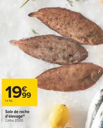 Carrefour Sole de roche d'élevage offre