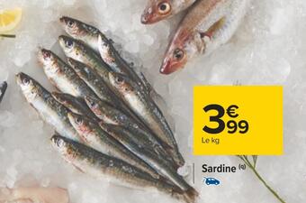 Carrefour Sardine offre