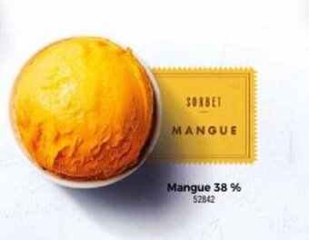 Thiriet Mangue 38 % 52842 offre