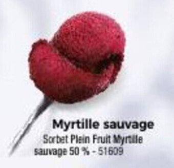 Thiriet Myrtille sauvage offre