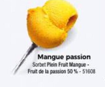 Thiriet Mangue passion offre