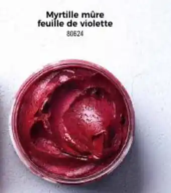 Myrtille mûre feuille de violette 80624