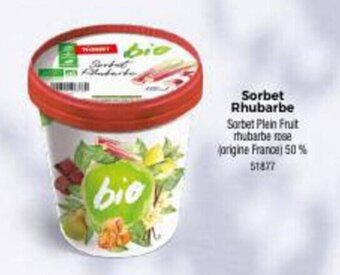 Thiriet Sorbet Rhubarbe offre