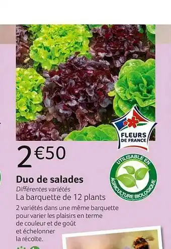 VillaVerde Duo De Salades offre