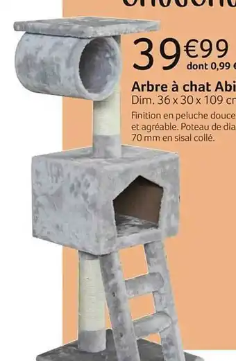 Arbre à Chat