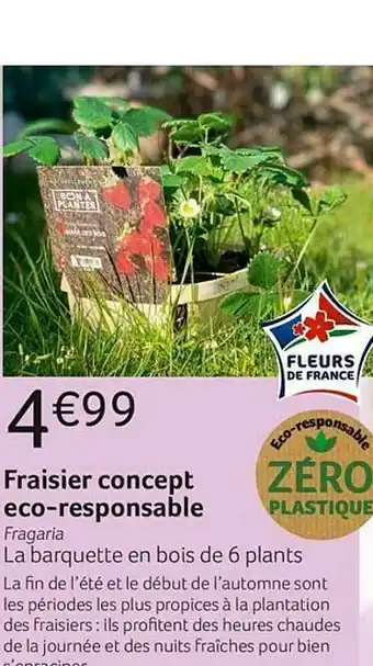 Fraisier Concept éco-responsable