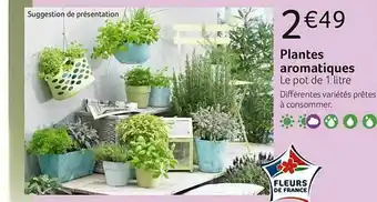 VillaVerde Plantes Aromatiques offre