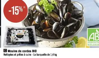 Moules de cordes BIO
