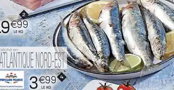Cora x Carrefour Sardines offre