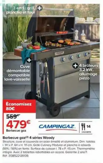 Barbecue gaz(2) 4 séries Woody