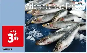Auchan SARDINES offre