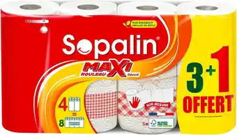Match Sopalin essuie tout sur mesure offre