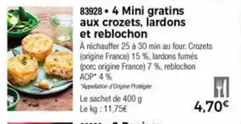 Thiriet 4 Mini gratins aux crozets offre