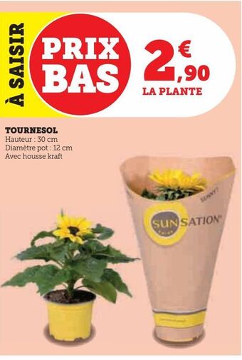 Hyper U Tournesol offre