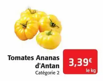 Colruyt Tomates ananas d'antan offre