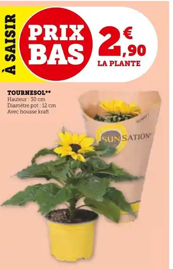 Super U TOURNESOL** offre