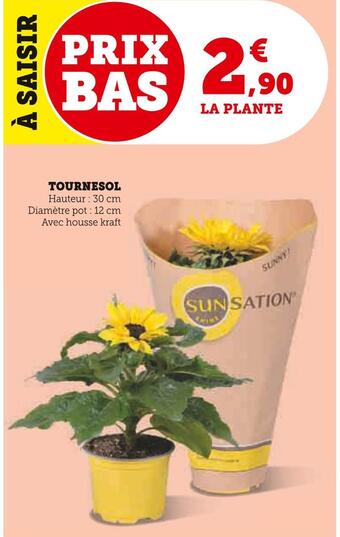 U Express Tournesol offre