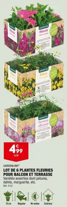 ALDI Gardenline lot de 6 plantes fleuries pour balcon et terrasse offre