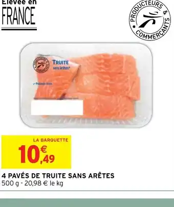 Intermarché 4 PAVÉS DE TRUITE SANS ARÊTES 500 g - 20,98 € le kg offre