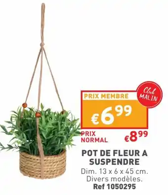 Trafic POT DE FLEUR A SUSPENDRPRIX MEMBRE offre