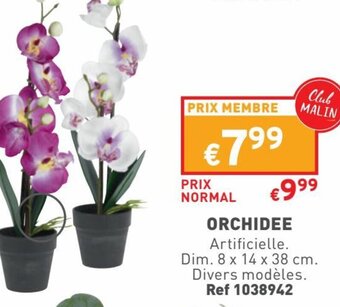 Trafic ORCHIDEE offre