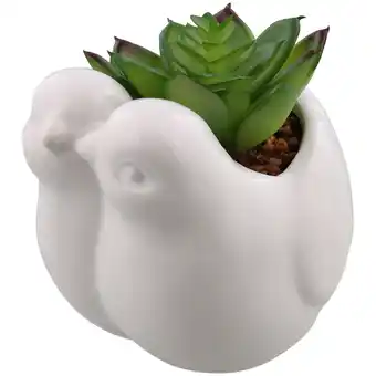 Pigeons avec plante artificielle