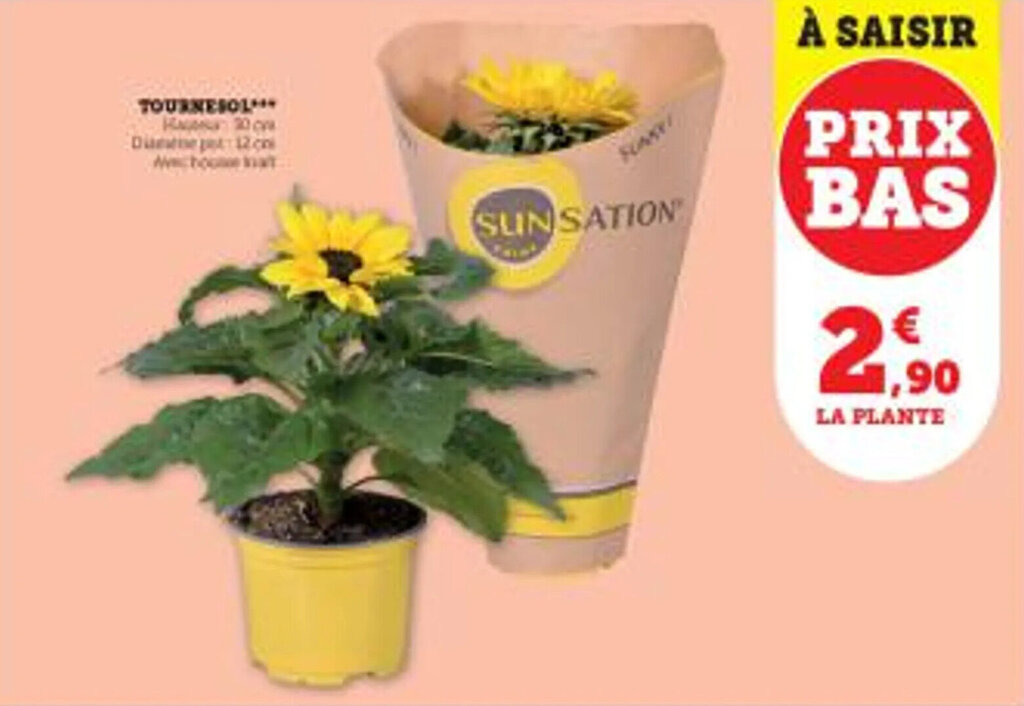 Promo TOURNEAU chez Super U