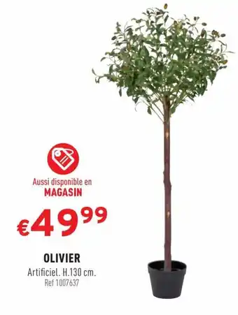 OLIVIER