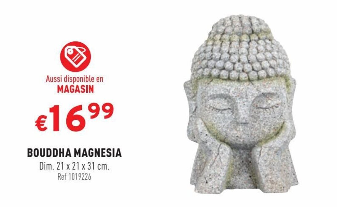 Trafic BOUDDHA MAGNESIA offre