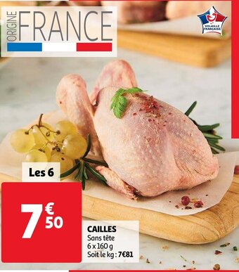Cailles