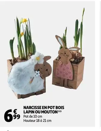 Auchan Narcisse en Pot Bois lapin Ou Mouton offre