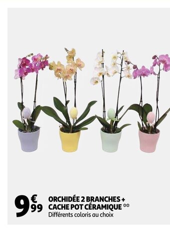 Auchan Orchidée 2 Branches Cache Pot céramique offre