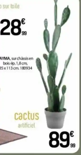 BUT Cactus artificiel offre