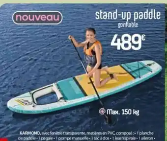 Stand-up paddle