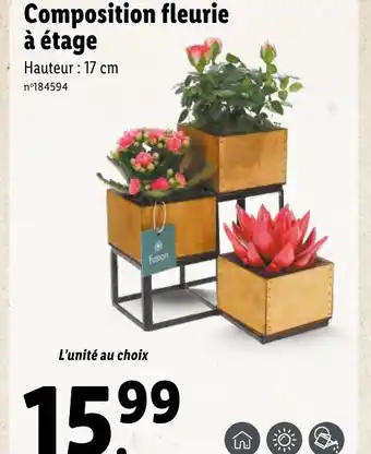 Lidl Composition fleurie à étage offre