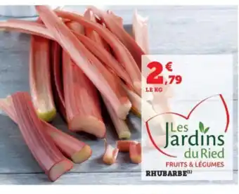 RHUBARBE