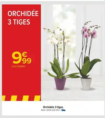 Carrefour ORCHIDÉE 3 TIGES offre