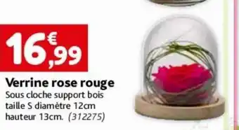 Verrine rose rouge Sous cloche support bois taille S diamètre 12cm hauteur 13cm. (312275)