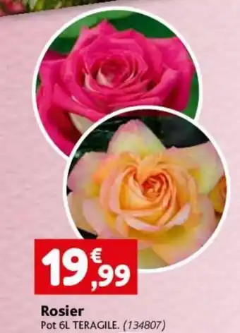 Rosier Pot 6L TERAGILE. (134807)