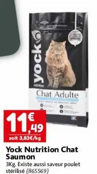 Point Vert Yock Nutrition Chat Saumon offre