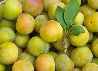 Auchan PRUNES offre
