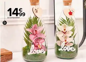Carrefour b./Orchidée 2 fleurons Terrarium offre