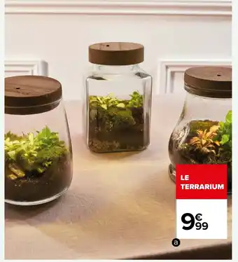 Carrefour a./Terrarium lumineux offre
