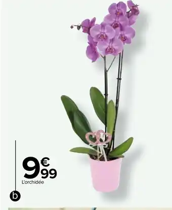 Carrefour b./Orchidée 2 offre