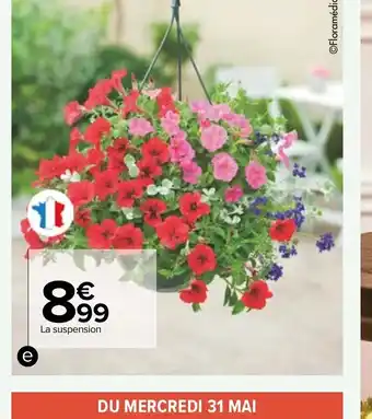 Carrefour e./ ✪ Suspension fleurie offre