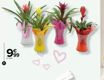 Carrefour b./ i Bromeliacée en vase offre