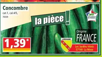 Norma Concombre offre