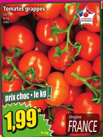 Norma Tomates grappes offre